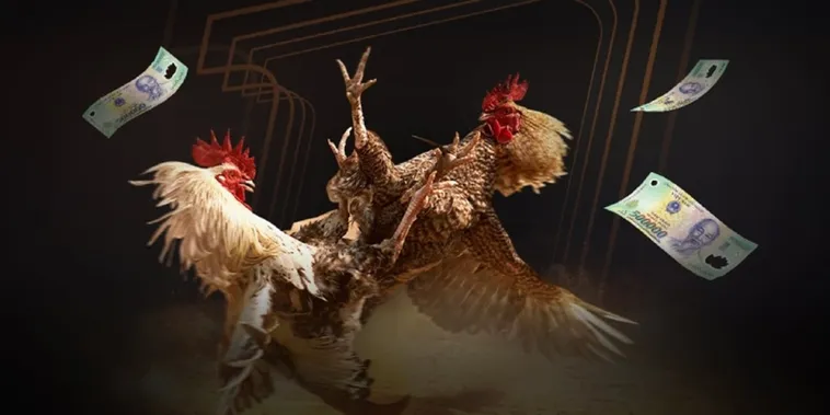 Đá Gà SP666 Sân Chơi Cược Đấu Đỉnh Cao Cho Cao Thủ Mê Gà